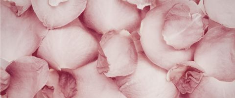Parfums