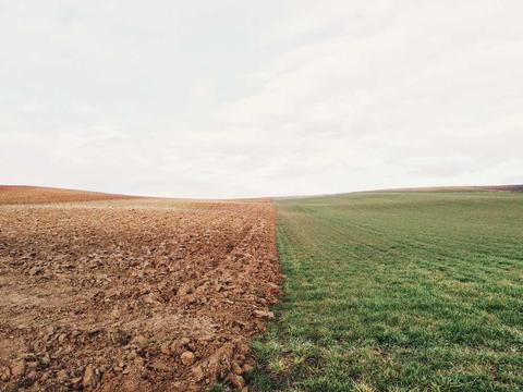Le sel en parfumerie